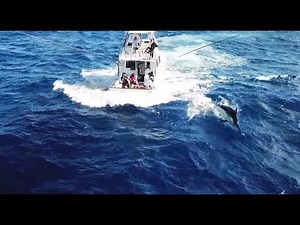 【釣り百景】#219 オーストラリア 村田基が巨大カジキを釣る