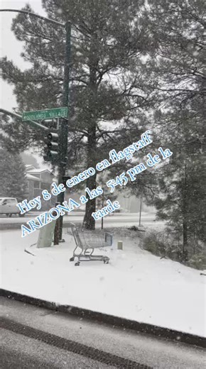 Winter Activities in Flagstaff Arizona