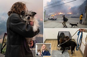 Heroic veterinarian takes in 41 animals as owners flee ‘apocalyptic’ Palisades Fire: ‘I haven’t slept at all’
