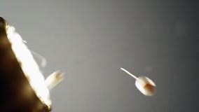 Macro CGI of Fungal Spore Ejection and Airborne Dispersal in Slow Motion