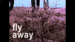 F.I.R. 飛兒樂團 - Fly Away 官方完整版 4K MV (Official 4K UltraHD Video)