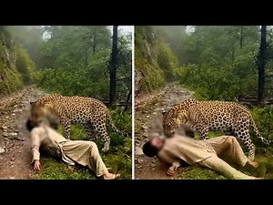 Some Scariest Animal Encounters Caught on Camera – You Won’t Believe