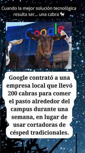 Cuando la mejor solución tecnológica resulta ser… una cabra 🐐