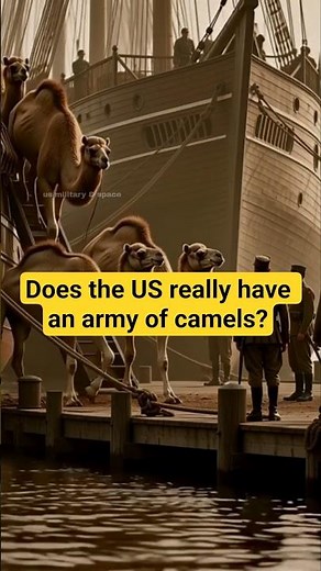 The Forgotten U.S. Army Camel Corps – Did America Use Camels for War?#shorts