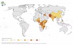 Cholera cases are on the rise. Here's why
