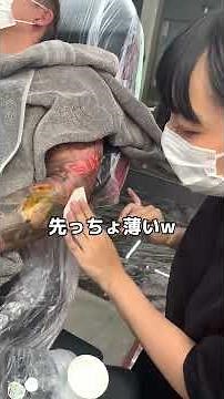 Tattoo shield #shorts