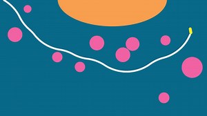 Horizontal Directional Drilling