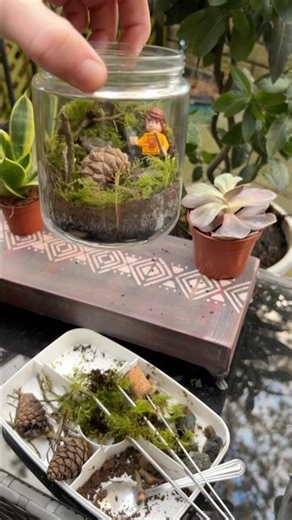 Building a Magical Terrarium 🌿 Inspired by the Goblet of Fire Maze