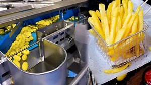 Millions of French Fries Processed with Cutting-Edge Technology