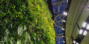 Bringing The Spheres’ green walls to life