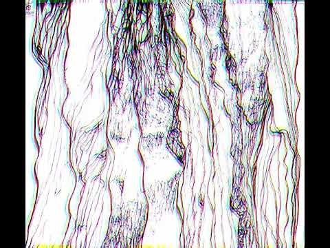 Pine Tree 🌳 Ink Drawing + Solo Piano Music by SYC