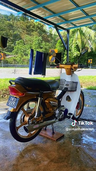 Restore Your Pants with Ex5 Dream Products