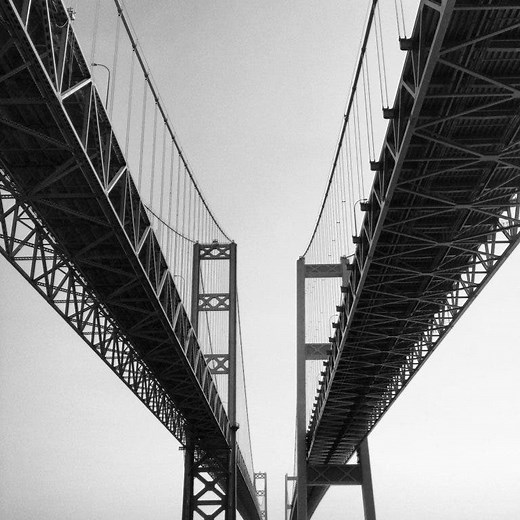 The Octopus Under the Narrows Bridge Named One of the Wonders of Tacoma
