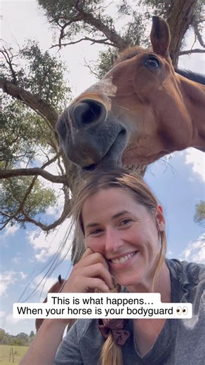 Jessica Jones on Instagram: "He’s THE bodyguard… 👀 I have heard that the best bodyguards are the ones where you hardly notice they’re there… so I think this big horse is nailing it 😂 I can’t even feel the weight of his head clamping me down so I stay put 😳 He’s not overbearing with his love at all 😂❤️ When Daybreak protectively positions himself around me, I know he doesn’t offer his loyalty lightly. He’s always been hyper aware of his environment - noticing every sound and shadow - which is