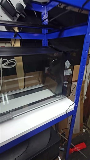 Fluval sea evo update ,just a quicky #fishtank #reeftank