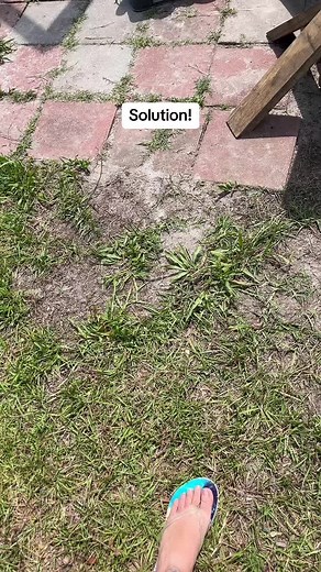 Found a solution for now! Just use the black plug the same way as the flow restrictor plug:underneath the gray skimmer!! So far so good!! Take a look!#intexpool #intex #abovegroundpool #intexskimmer #suctionproblems #sandfilter #pooltok #help #fyp #thankfulforfriends