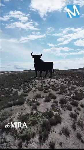 🐂🇪🇸 El icónico Toro de Osborne cumple años: símbolo eterno del paisaje y la cultura española