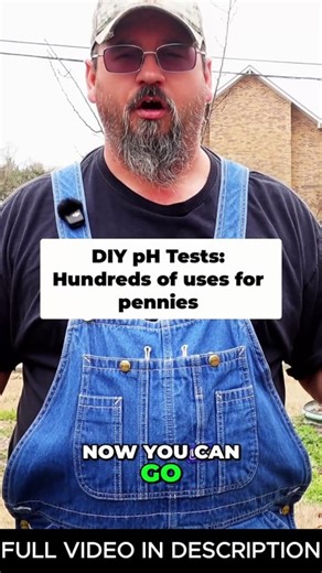 DIY PH TESTS
