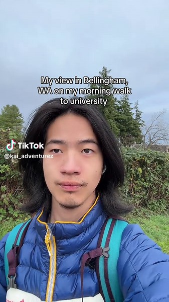 Bellingham WA Morning Walk Scenery