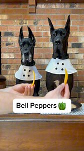 156K views · 3.3K reactions | Should we make a part 2?? #asmr #dog #GreatDanesofFacebook #foodreview #funnydogs #funnydogvideos | Thegoodhype | Facebook