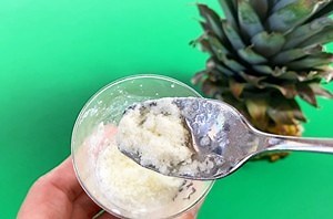 What Do Enzymes in Pineapple Juice Do to Milk? | Lesson Plan