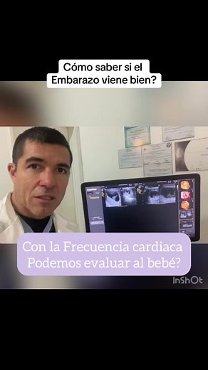 Cómo saber si el embarazo viene bien con la ecografía