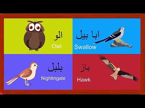 Learn Birds Names for Kids in Urdu | پردو کے نام | Birds Song and More | Urdu Rhymes Collection