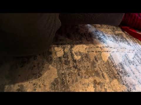 Ni hao Kai lan songs instrumentals