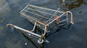 There's a field guide for identifying 'stray shopping carts'