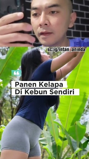 12K views · 40 reactions | Panen kelapa sendiri… tapi netizen yang panen imajinasi 藍 #reaction #reactionvideo #reels #lol #fyp | Denni Gunawan | Facebook