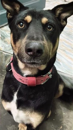 #song kaise cartoon Katti nahin 😍