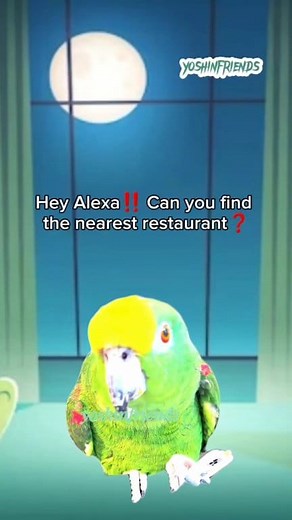 Siri Loves Alexa 🫶😂🤣 . . . . #comedy #comedyvideo #comedyshorts #comedyvideos #comedyfilm #humor #humormeme #humorous #humorviral #toofunny #justforfun #justjokes #jajaja #haha #hahaha #hahaidea #hahahaha #smile #smilemore #smiles #hilarious #hilariousmemes #hilariousmoments #meme #memes #memesfunny #memesdaily #memesvideo #memepage #joy | YoshiNfriends