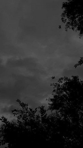 -NOT-POLITICAL-#germany #for #foryou #foryoupage #foryourpage #ww2 #history #interesting #photo