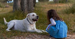 Peut-on aller au zoo avec son chien ?