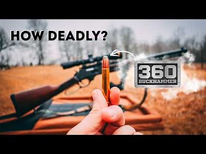 How Deadly is the 360 Buckhammer? (Deer Hunting Test)