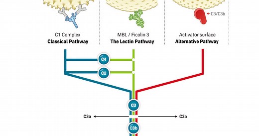 「WIESLAB®」　優れた特異性をもつ補体活性測定ELISAキット｜ラーニングコーナー | ベリタス