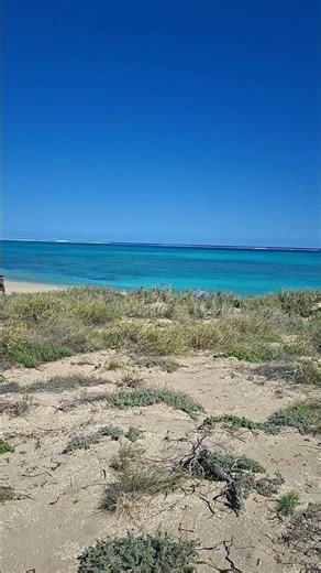 Osprey Bay Campground | Paradise on the Ningaloo Coast