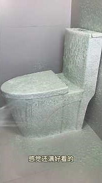Remove Hard Water Ring In Toilet Bowl Fast and Easy