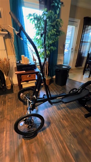 I’ve wanted one of these Street Stryder Elliptical bikes for awhile! Now I have to learn how to ride it!😊