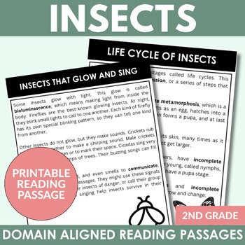 CKLA 2nd Edition | Insects | Reading Passages and Comprehension Questions