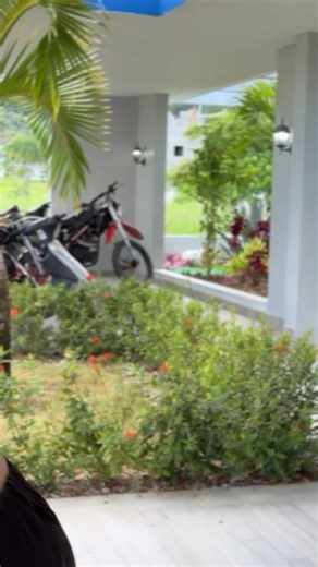 Leonardo Top Ten on Reels