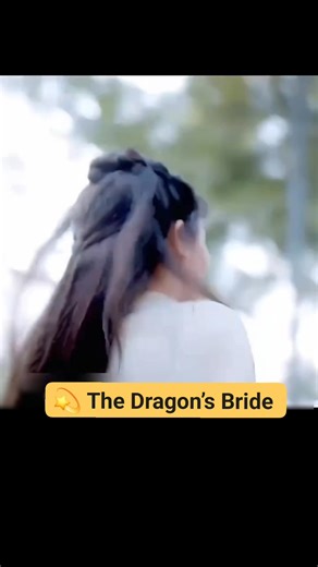 💫 The Dragon’s Bride 💫 | KD Explain