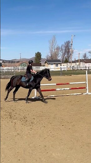 Also got to hack Tilly today😍