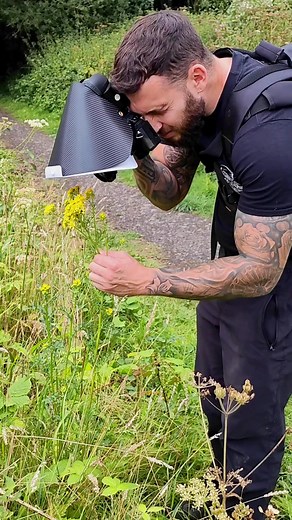 Importance of Pollinators in Our Ecosystem