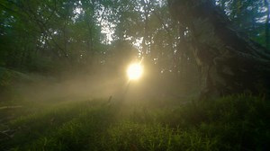 40K views · 1.6K reactions | Ancient Astronaut Theorists believe “The Shining Ones” used magical powers stemming from extraterrestrials. | Ancient Aliens | Facebook