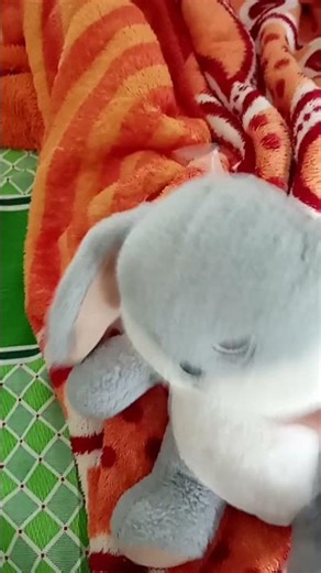 bueno se murió 🗿🔥🗣️