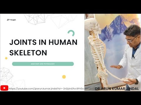 Human Skeleton Joints Explained | Anatomy & Function of Every Joint #anatomy #joints #joints #drarun