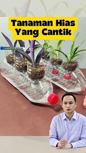 808K views · 9.5K reactions | Ide Kreatif Membuat Tanaman Hias Dengan Memanfaatkan Botol Bekas #diy #homedocor #tipsdantrik #idekreatif #tipsbermanfaat | Fahmi Ideas | Facebook