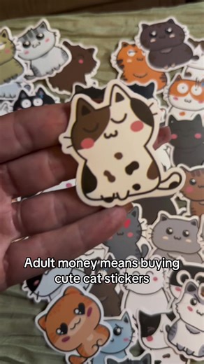 Cat stickers are always a fun way to add personality to everyday things. These cute cat stickers are perfect for decorating laptops, water bottles, journals, planners, phone cases, or notebooks. #catstickers #stickers #cutestickers #catlover #catdecor