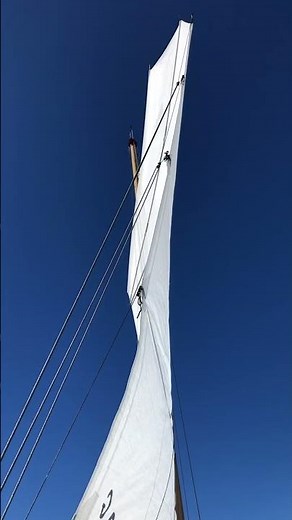 Modern junk rig sail